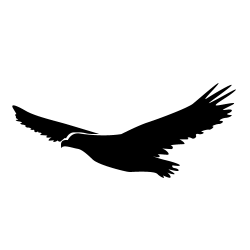 https://blackeaglelodges.co.za/wp-content/uploads/2019/02/500px-X-500px_BlackEagleLodges_LogoInvert_White-e1657882593330.png